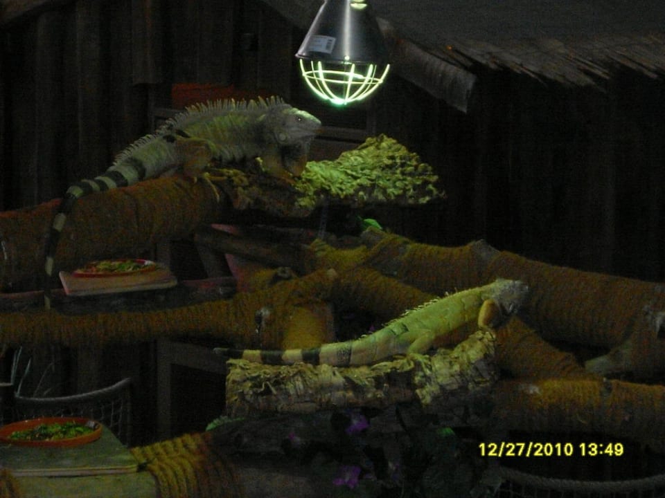 Dschungelland Ferienwohnungen Ferienpark Weissenhäuser Strand