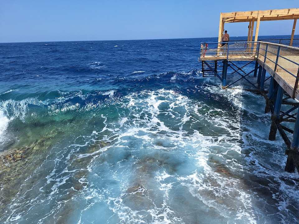 Strand JAZ Neo Reef Marsa