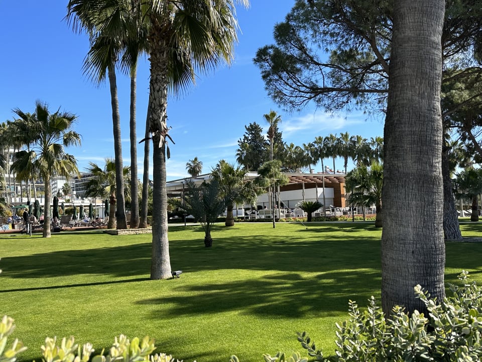 Gartenanlage Acanthus Cennet Barut Collection