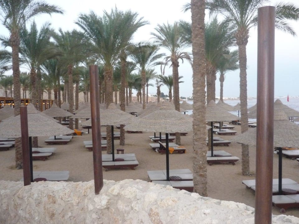 Liegen am Strand The Grand Hotel Sharm El Sheikh