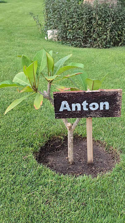 Gartenanlage Amarina Abu Soma Resort & Aquapark