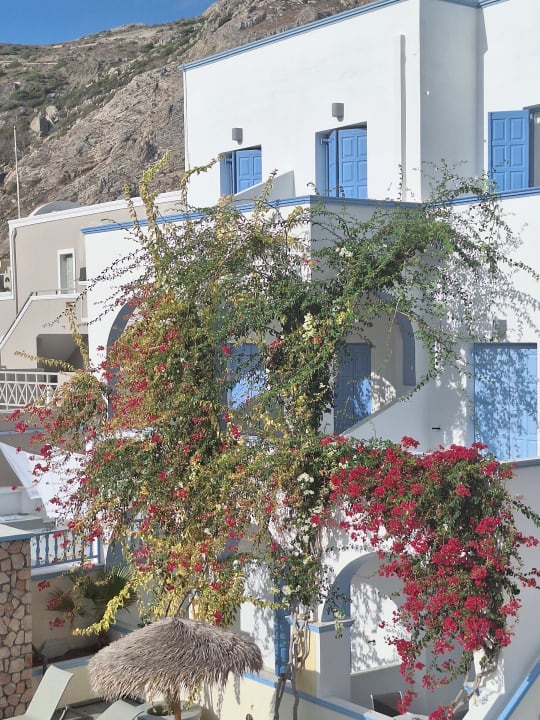 Gartenanlage Hotel Zephyros