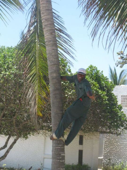 Kokosnuss Hotel Jacaranda Indian Ocean Beach Resort