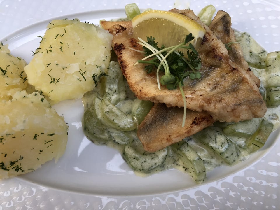 Gastro Hotel Luther Birke Wittenberg