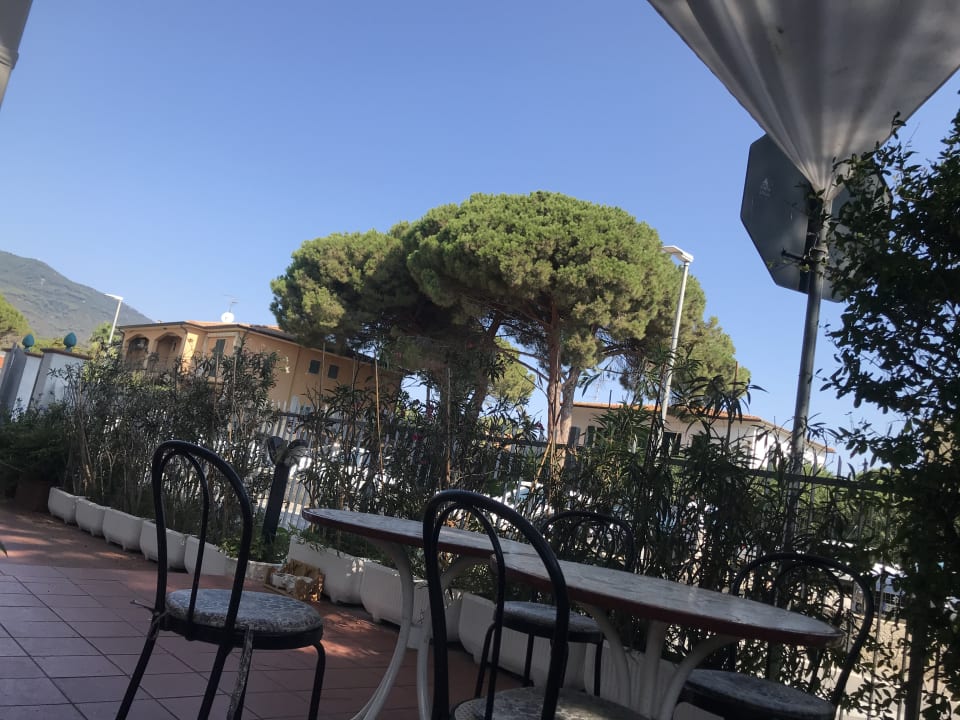 Gartenanlage Hotel Punto Verde