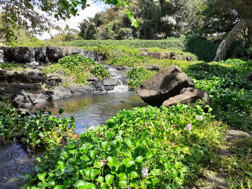 Gartenanlage Maritim Resort & Spa Mauritius