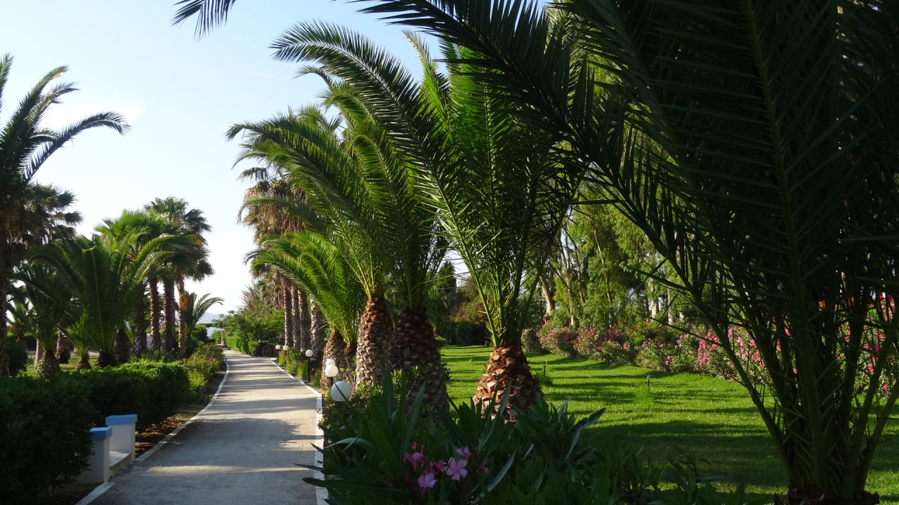 Gartenanlage Hotel Cavo D'oro