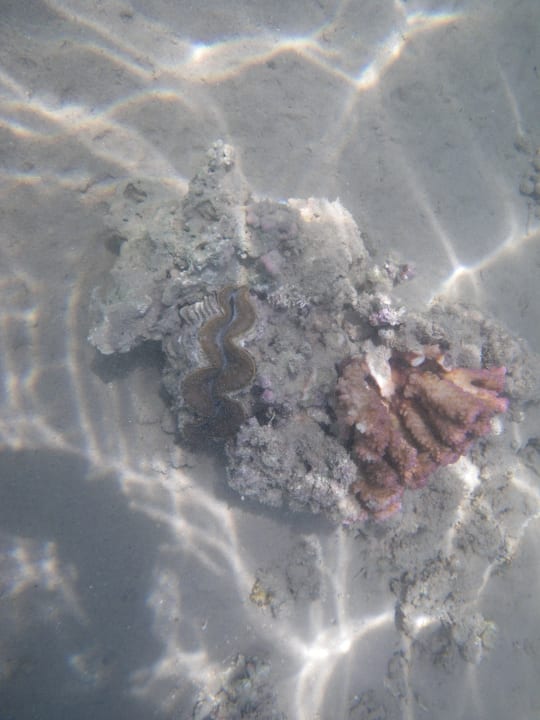 Strand Cleopatra Luxury Resort Makadi Bay