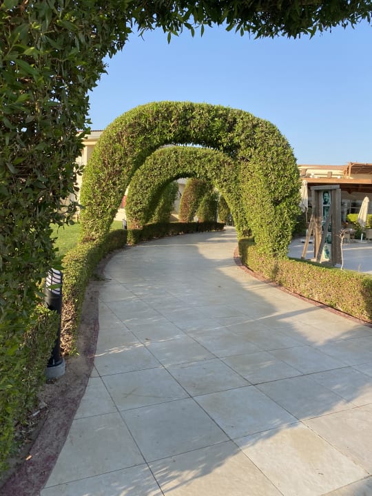 Gartenanlage Cleopatra Luxury Beach Resort Makadi Bay - Adults only