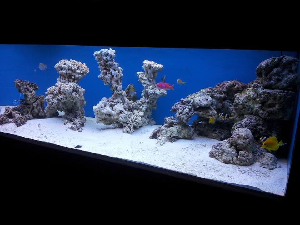 Restaurant Hotel Bell Rock Europa-Park