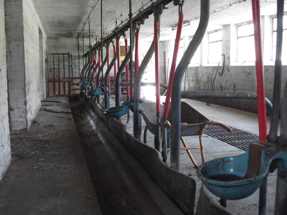 Sonstiges Wiesenberghof