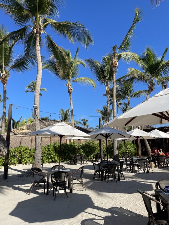 Strand Dreams Dominicus La Romana