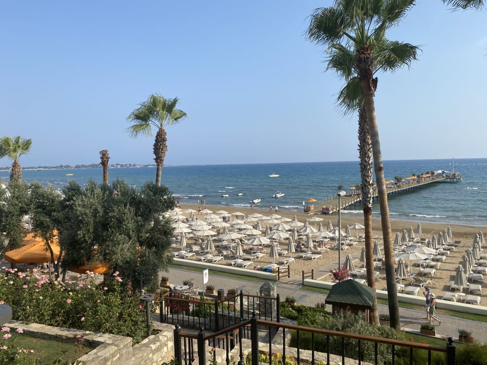 Ausblick Arum Barut Collection