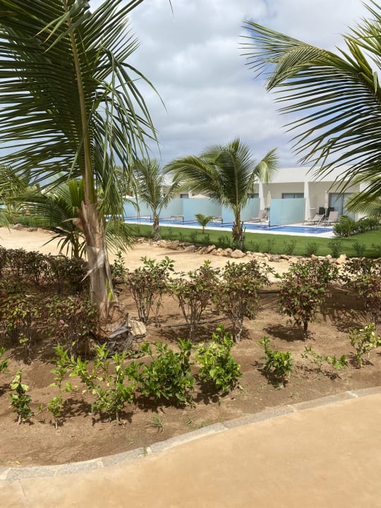 Gartenanlage Hotel Riu Palace Boavista