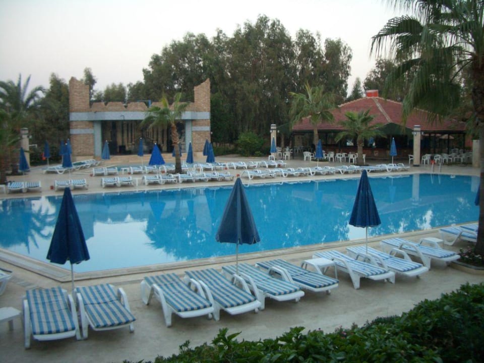 Der Pool  MC Beach Park Resort Hotel