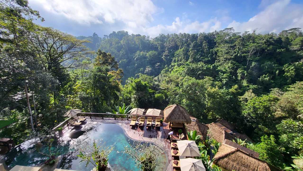 Ausblick Nandini Jungle by Hanging Gardens