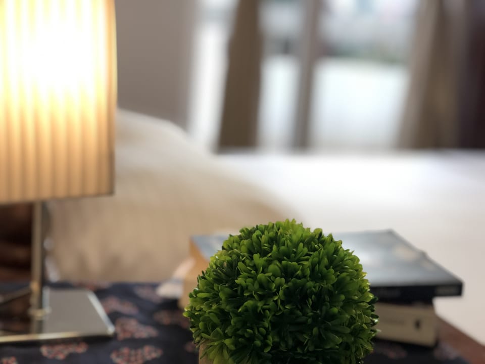 Zimmer Villa Merci Budva