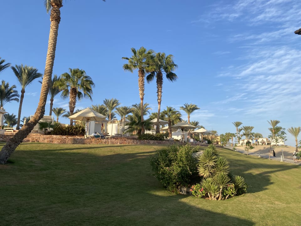 Gartenanlage Steigenberger Coraya Beach - Adults only