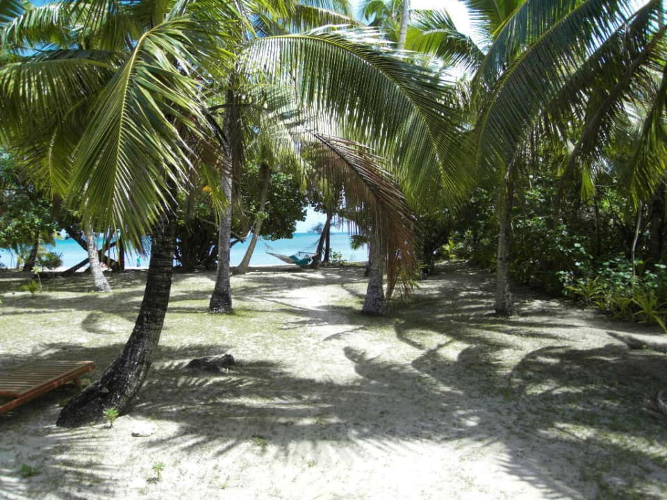 Blick von der Veranda Hotel Fafa Island Resort