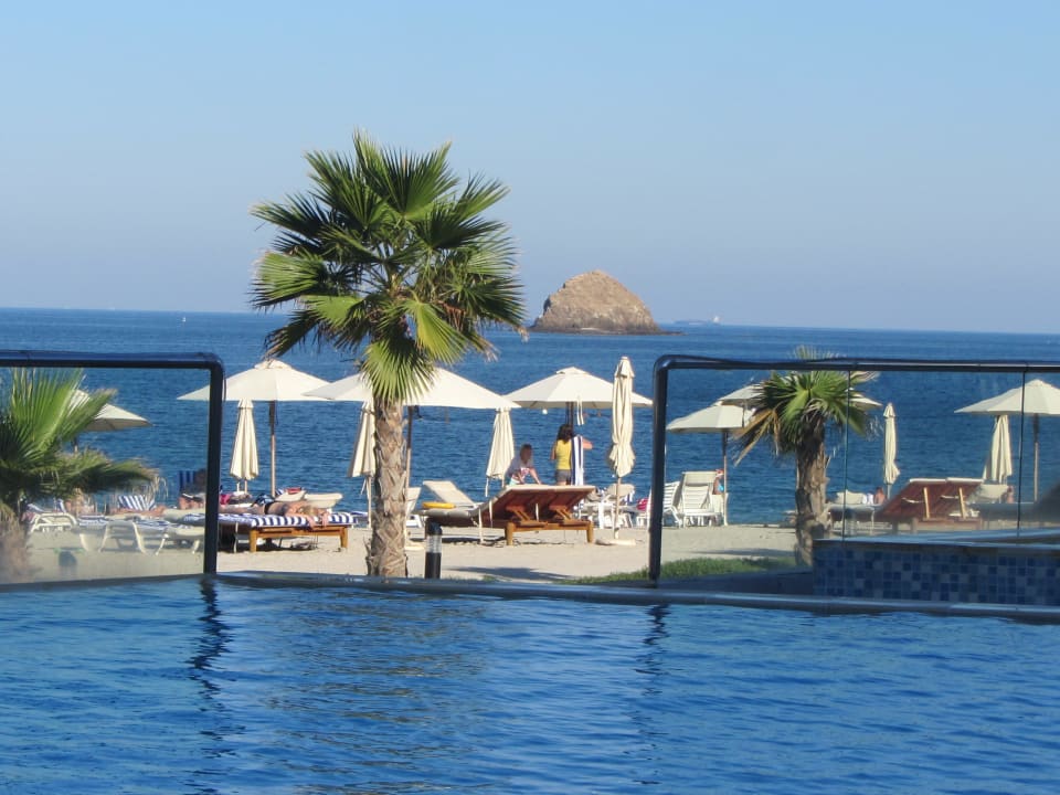 Pool mit Blick zum Strand Radisson Blu Resort Fujairah