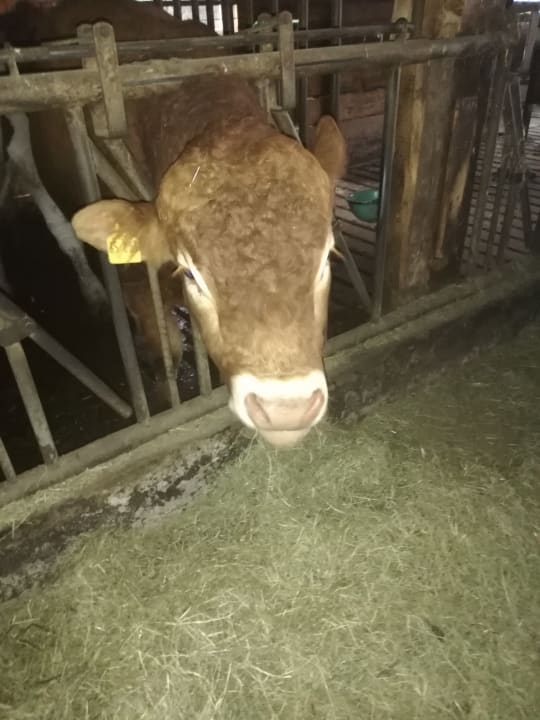 Sport & Freizeit Wiesenberghof