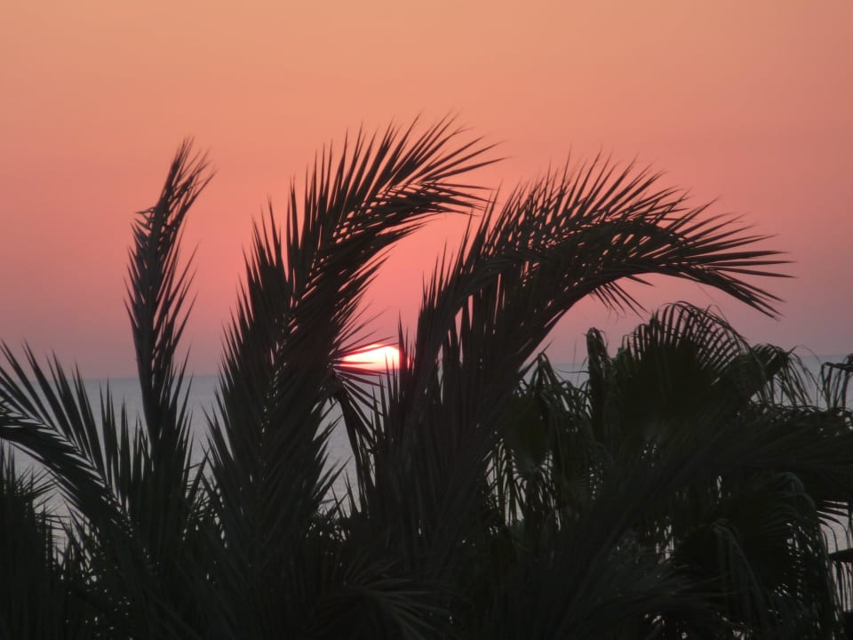 Sonnenaufgang vom Zimmer 1220 um 05:15 Uhr Steigenberger Coraya Beach - Adults only