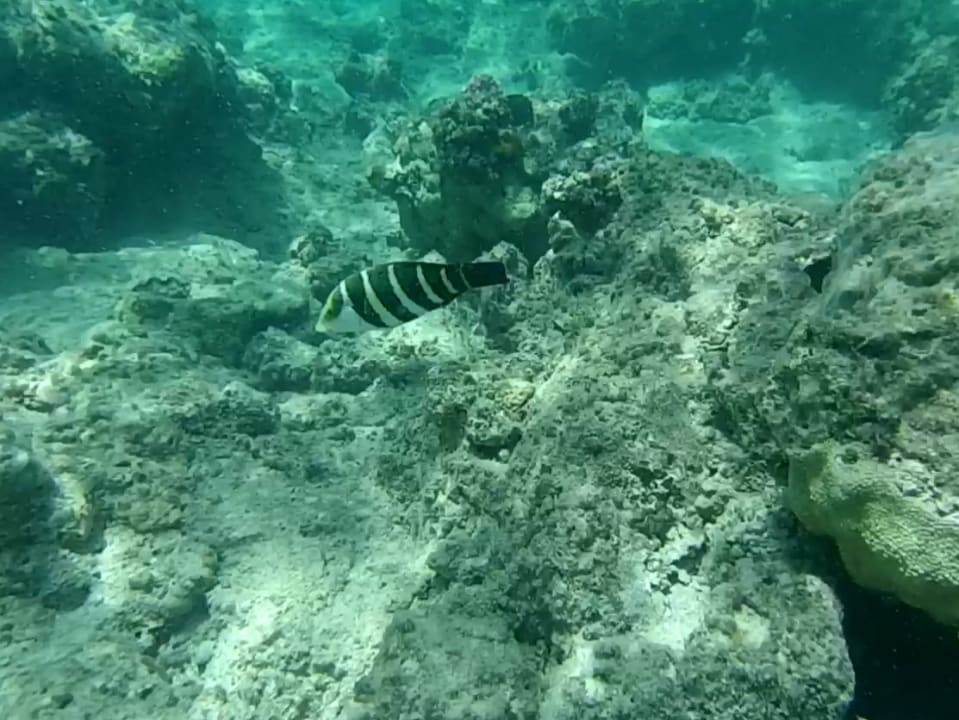 Sport & Freizeit Titanic Beach Spa & Aqua Park