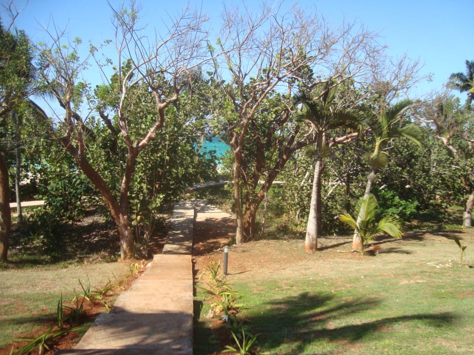 Gartenanlage Sirenis Tropical Varadero