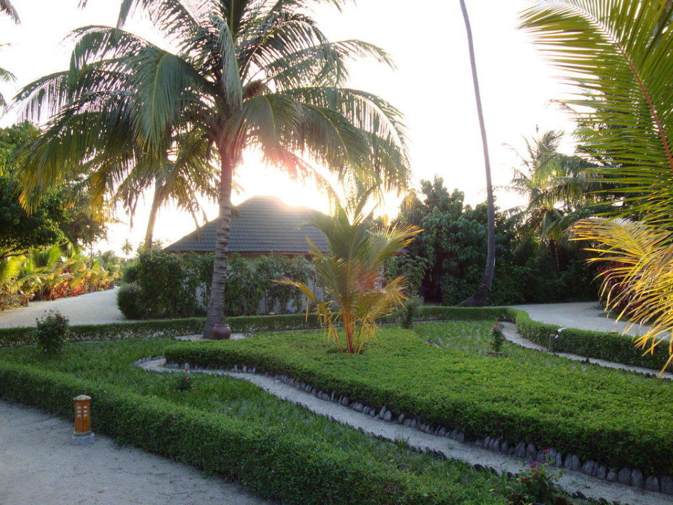 Hotel Meeru Island Resort Meeru Maldives Resort Island