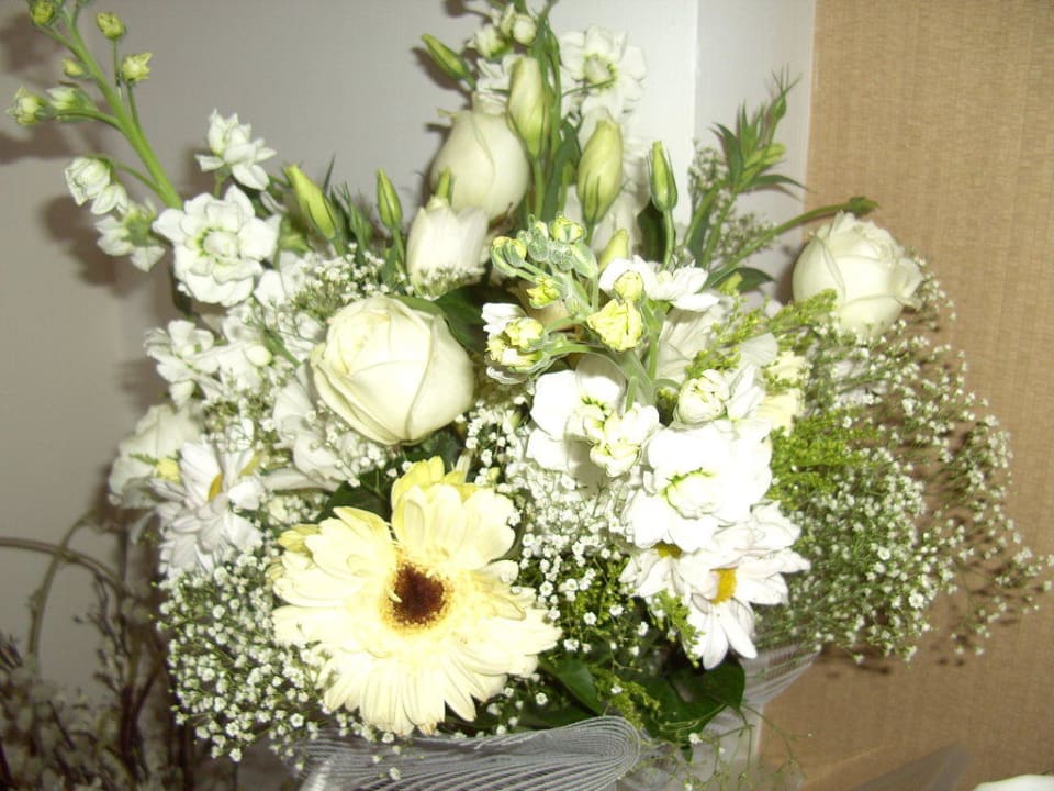 Geburtstag Voyage Belek Golf & Spa