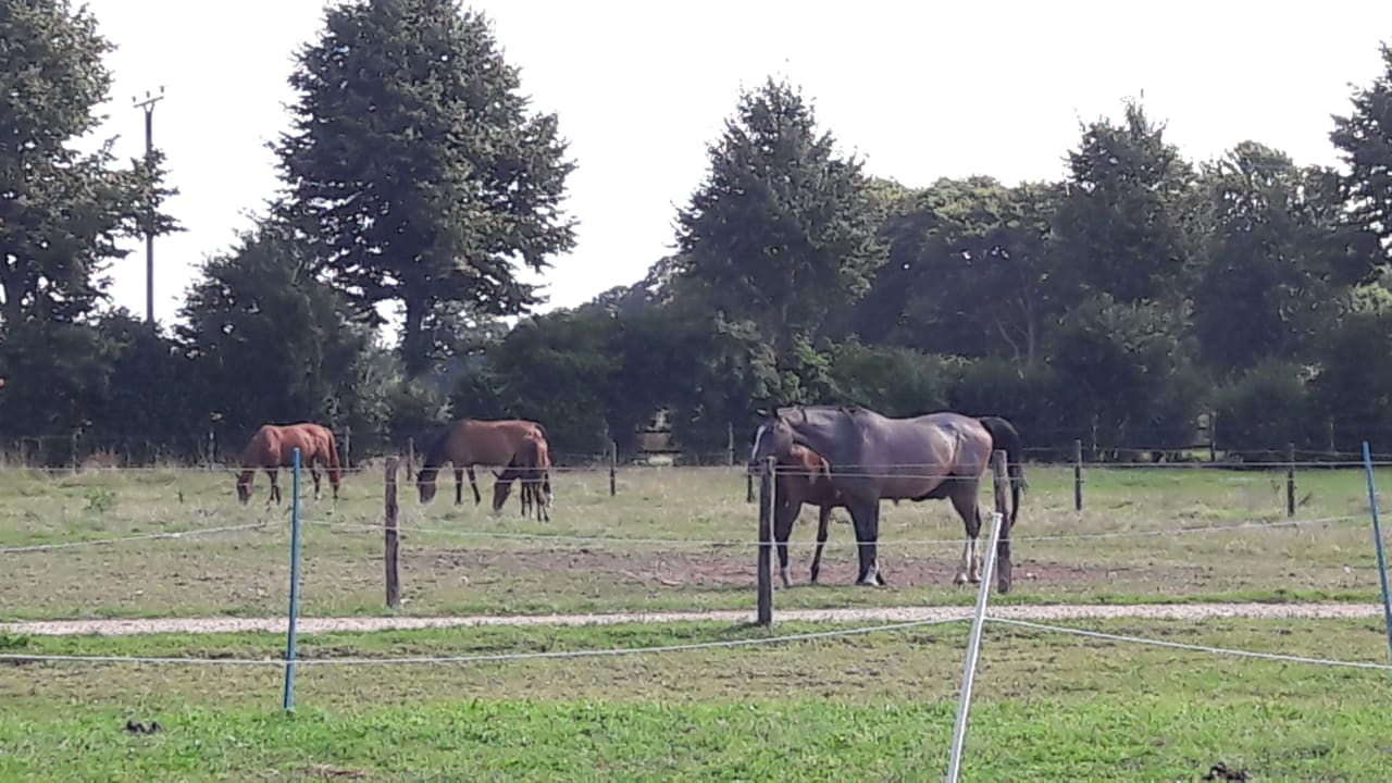 Ausblick Reitercamp Hötzenhof