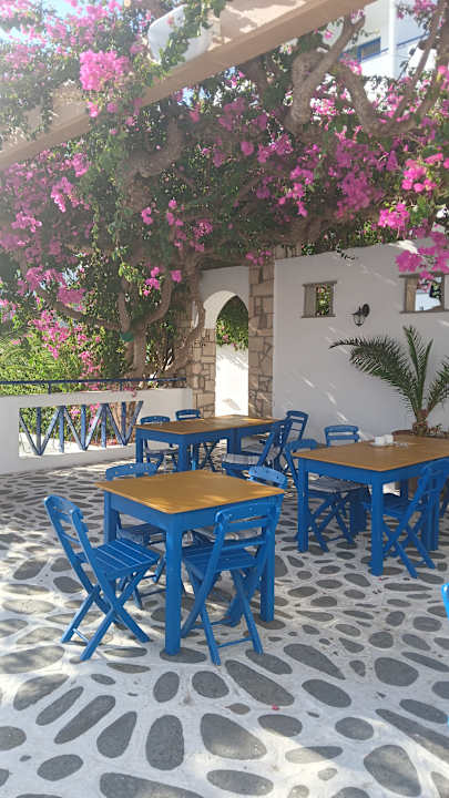 Ausblick Ekaterini Hotel