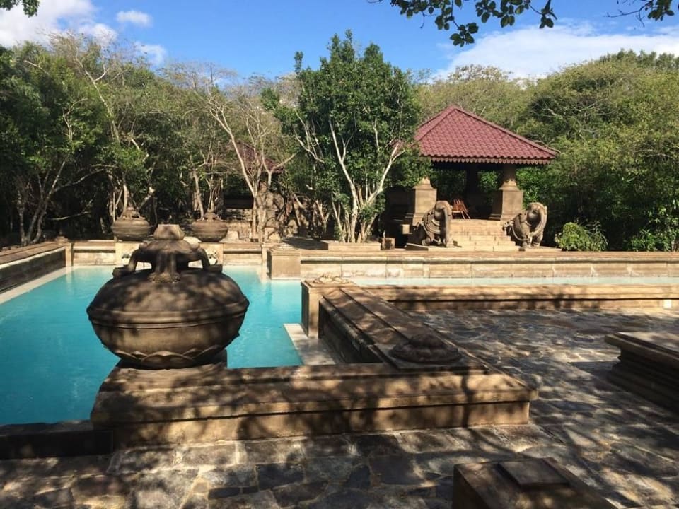 Pool Forest Rock Garden Resort