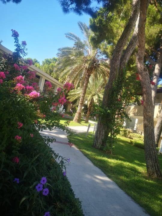 Gartenanlage Club Sidelya Hotel