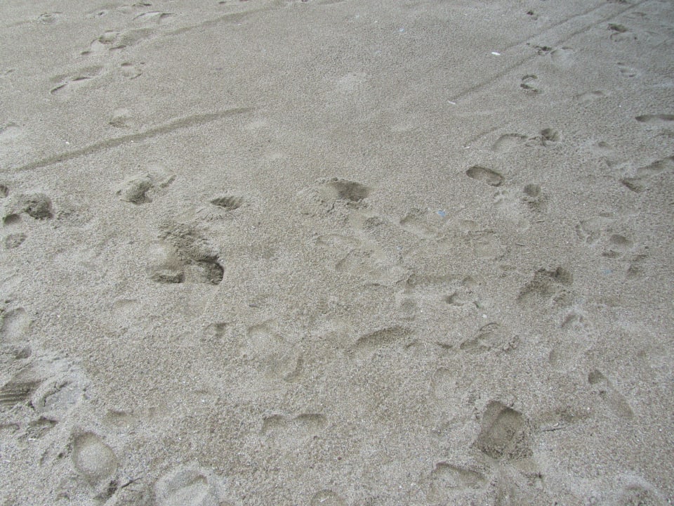 SunConnect Sea World Resort & Spa Seaden Sea World Resort & Spa