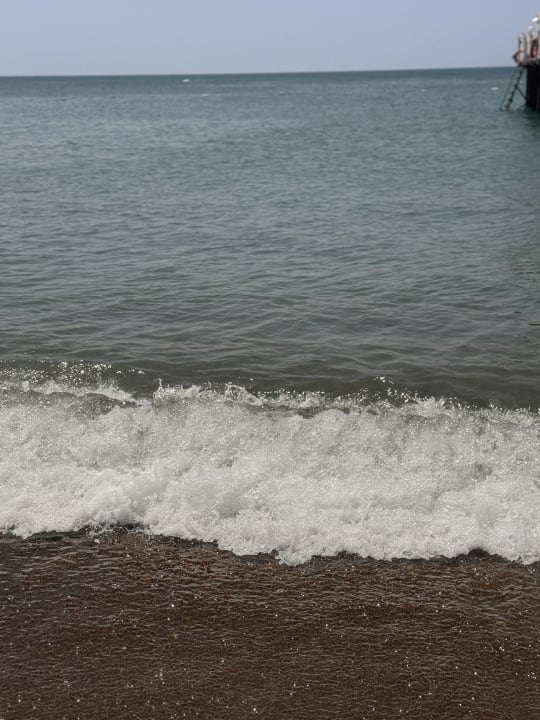 Strand Sherwood Exclusive Lara