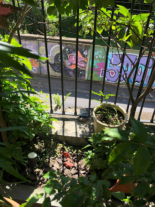 Ausblick Mama Shelter Rio De Janeiro