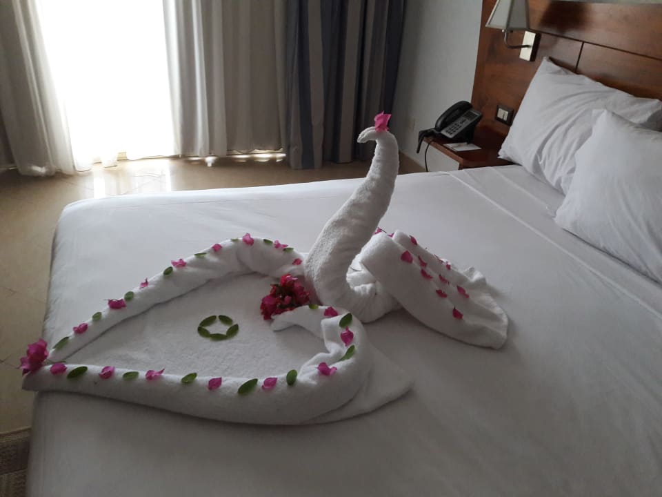 Zimmer Stella Garden Resort & Spa, Makadi Bay