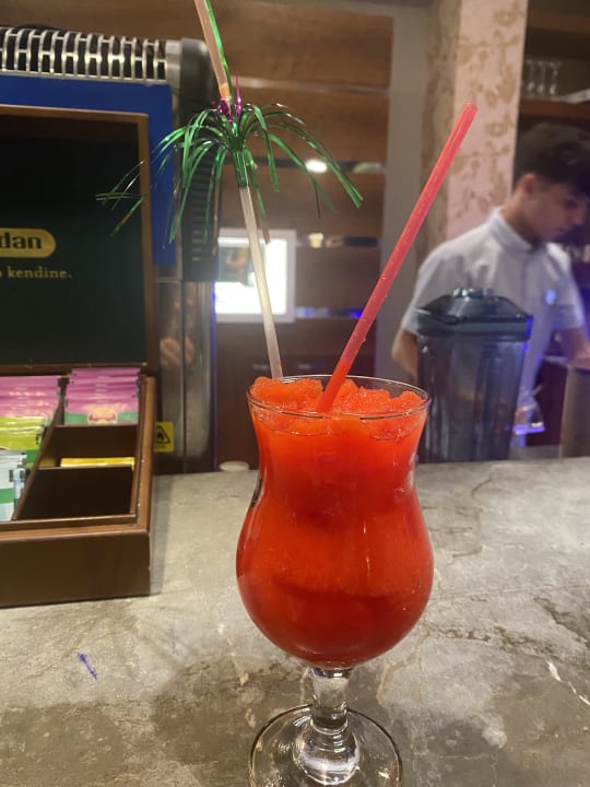 Gastro Dizalya Palm Garden