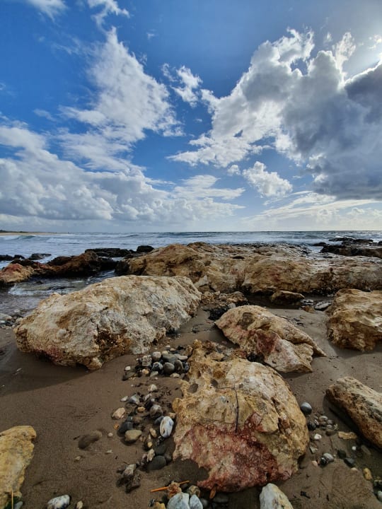 Außenansicht TUI MAGIC LIFE Jacaranda