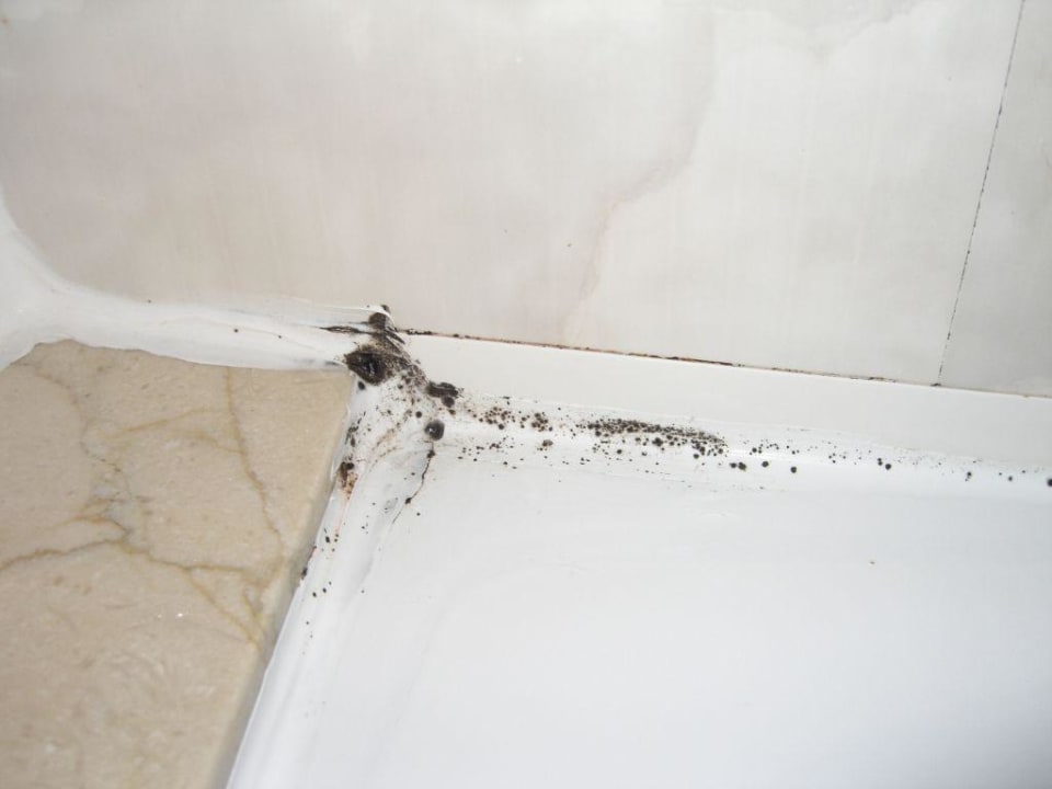 Dusche Hotel Edén Palma Playa - Adults Only