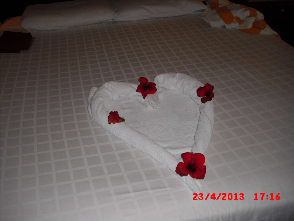 Schöne Motive vom Zimmerboy  Stella Beach Resort & Spa Makadi Bay