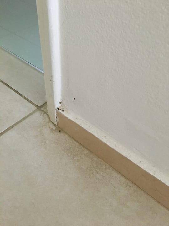 Zimmer Delfina Tropic Beach