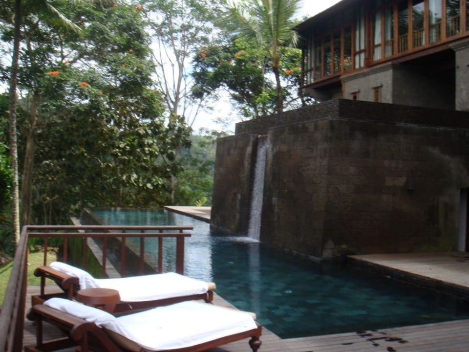 Pool Estate earth COMO Shambhala Estate