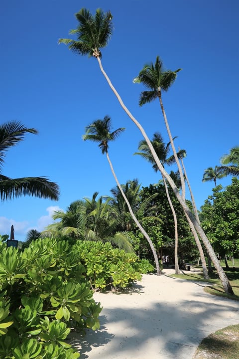 Gartenanlage Kempinski Seychelles Resort