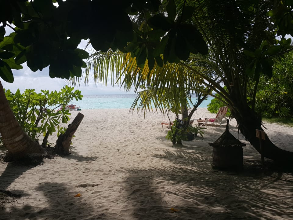 Strand Biyadhoo Island Resort