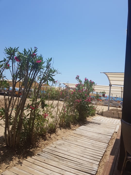 Strand Sunis Evren Beach Resort Hotel & Spa