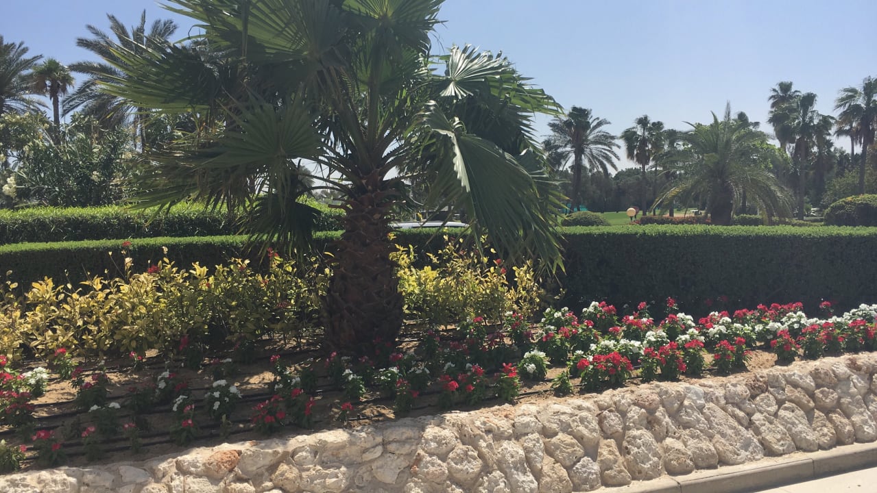 Gartenanlage JA Beach Hotel