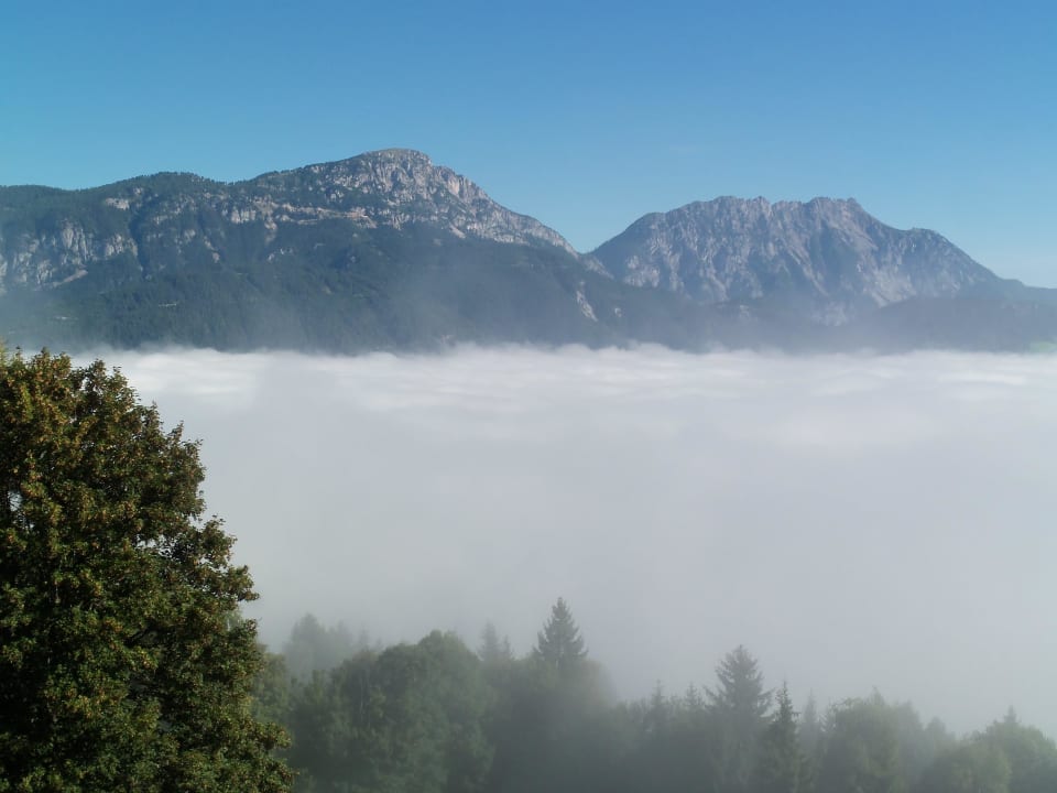 Ausblick vom Balkon am Morgen Natur & Wellnesshotel Höflehner