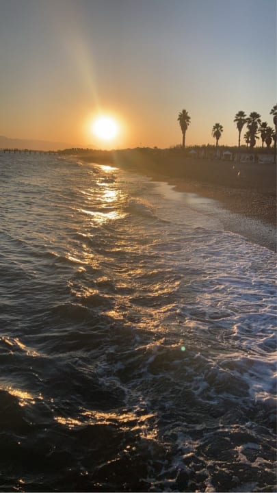 Strand ROBINSON NOBILIS
